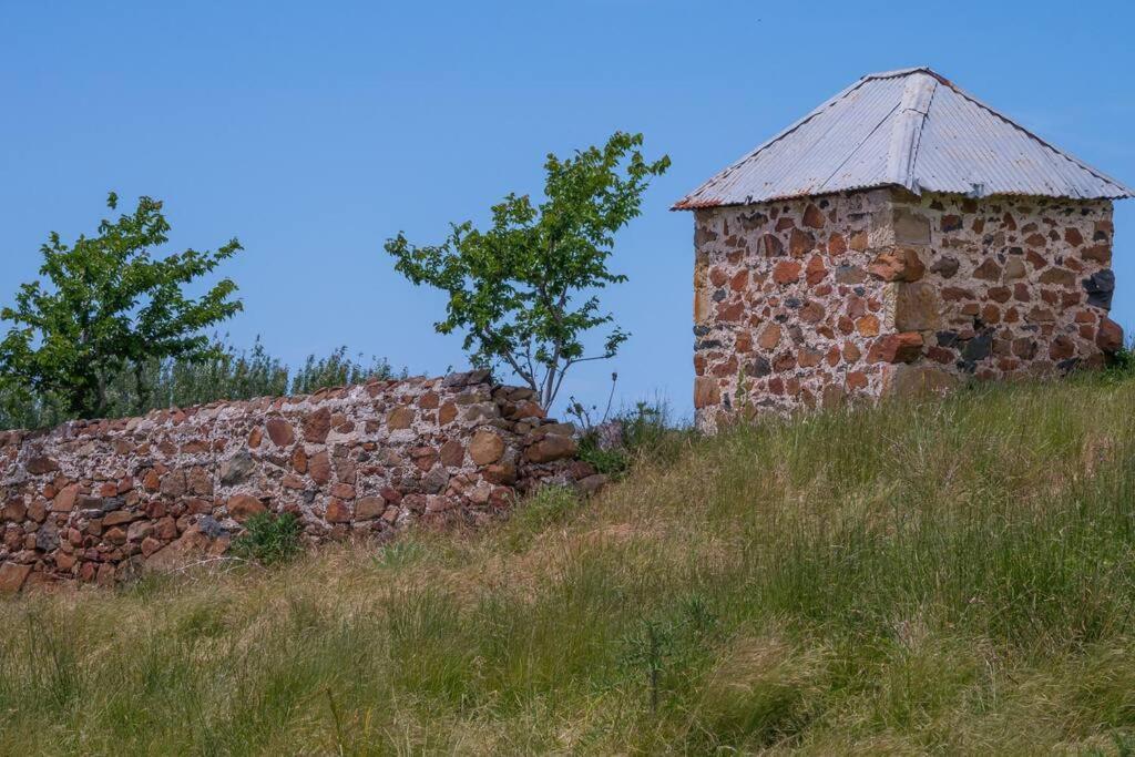 فيلا *Newly Relisted* Coach House At Lisdillon Vineyard Little Swanport المظهر الخارجي الصورة